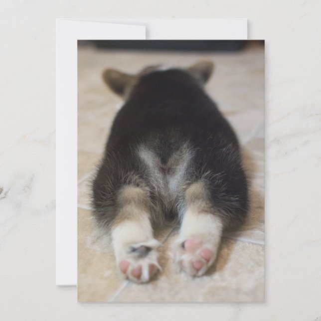 Cutest Baby Animals | Corgi Puppy Behind Thank You Card (Front)