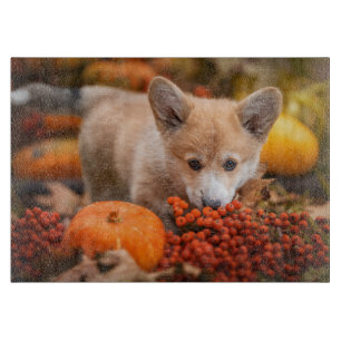 Cutest Baby Animals   Corgi Puppy  in Autumn Cutting Board