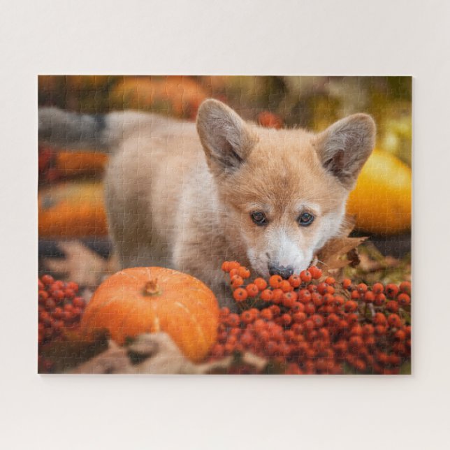 Cutest Baby Animals | Corgi Puppy  in Autumn Jigsaw Puzzle (Horizontal)