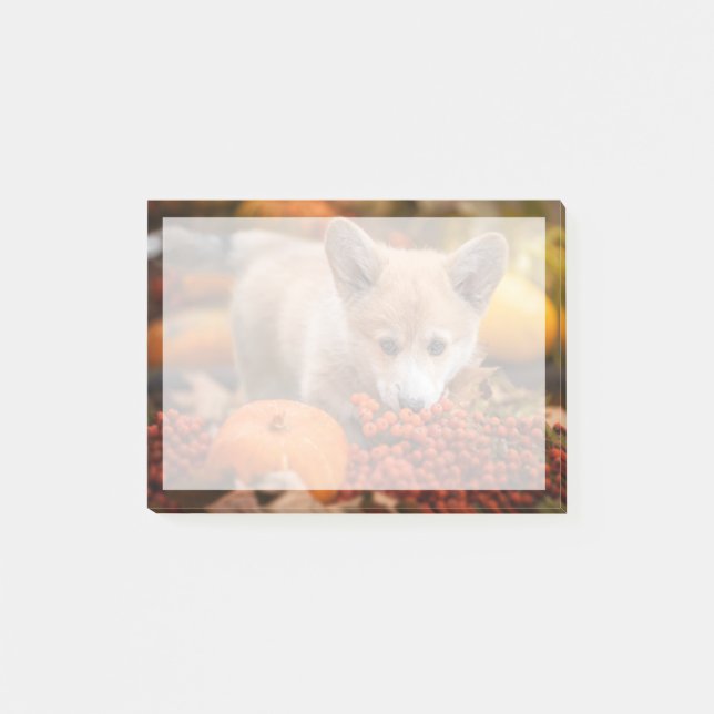 Cutest Baby Animals | Corgi Puppy  in Autumn Post-it Notes (Front)
