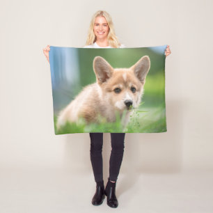 Cutest Baby Animals   Corgi Puppy in the Yard Fleece Blanket