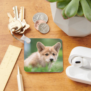 Cutest Baby Animals Corgi Puppy in the Yard Keychain