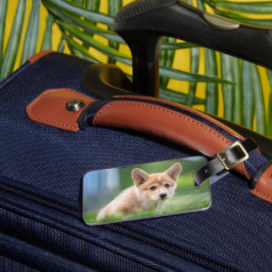 Cutest Baby Animals   Corgi Puppy in the Yard Luggage Tag