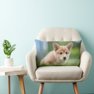 Cutest Baby Animals Corgi Puppy in the Yard Lumbar Pillow