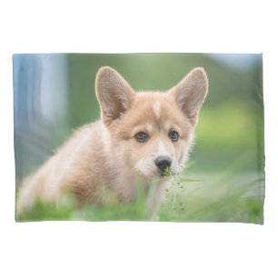 Cutest Baby Animals   Corgi Puppy in the Yard Pillowcase