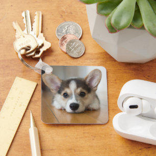 Cutest Baby Animals   Corgi Puppy Looking Keychain
