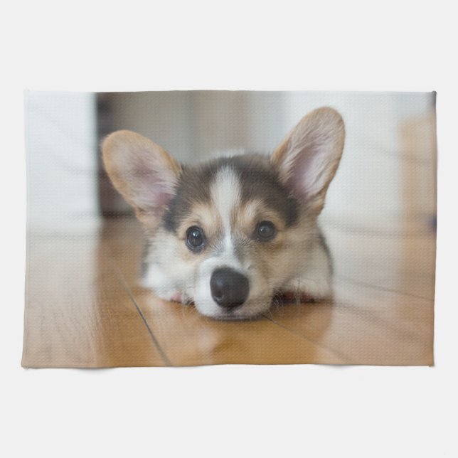 Cutest Baby Animals | Corgi Puppy Looking Kitchen Towel (Horizontal)