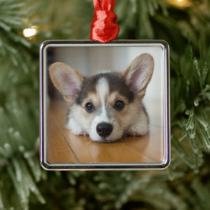 Cutest Baby Animals Corgi Puppy Looking Metal Ornament