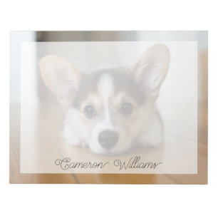 Cutest Baby Animals   Corgi Puppy Looking Notepad