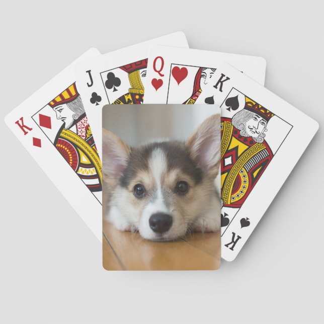 Cutest Baby Animals | Corgi Puppy Looking Playing Cards (Back)