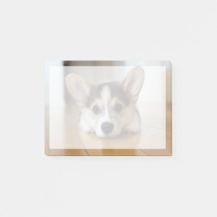 Cutest Baby Animals   Corgi Puppy Looking Post-it Notes
