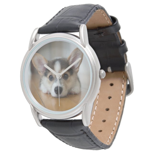 Cutest Baby Animals | Corgi Puppy Looking Watch (Angled)