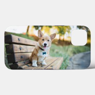 Cutest Baby Animals Corgi Puppy on a Park Bench iPhone 13 Case