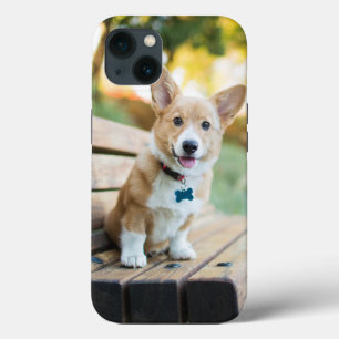 Cutest Baby Animals   Corgi Puppy on a Park Bench iPhone 13 Case