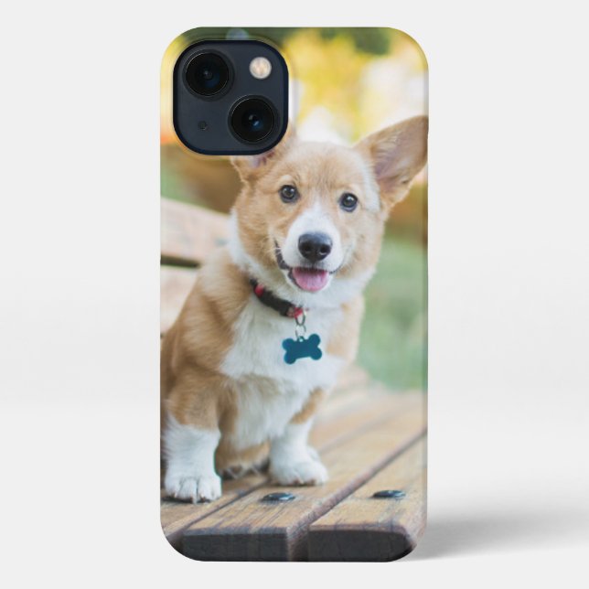 Cutest Baby Animals | Corgi Puppy on a Park Bench iPhone Case (Back)