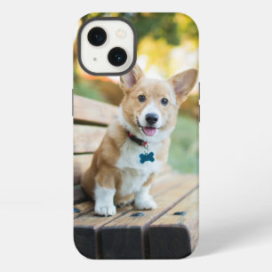 Cutest Baby Animals   Corgi Puppy on a Park Bench iPhone 13 Case