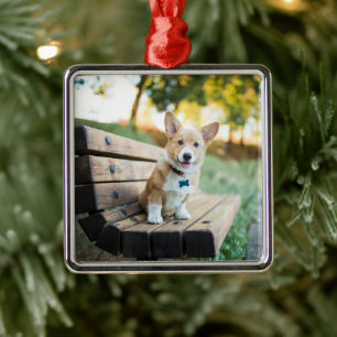 Cutest Baby Animals Corgi Puppy on a Park Bench Metal Ornament