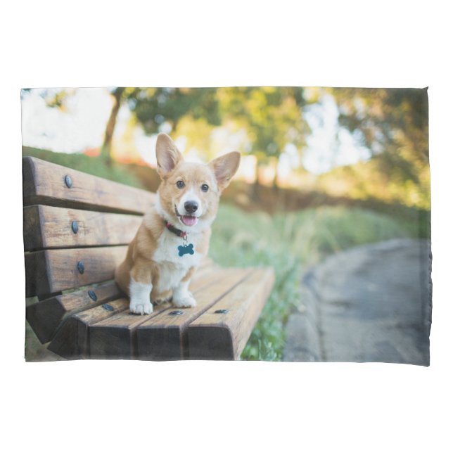 Cutest Baby Animals | Corgi Puppy on a Park Bench Pillowcase (Front)