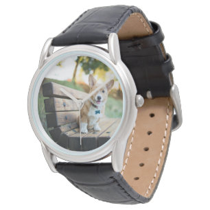 Cutest Baby Animals   Corgi Puppy on a Park Bench Watch