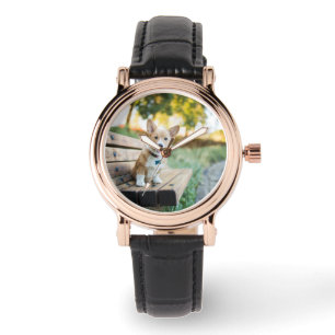 Cutest Baby Animals   Corgi Puppy on a Park Bench Watch