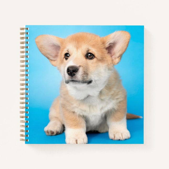Cutest Baby Animals | Corgi Puppy on Blue Notebook (Front)