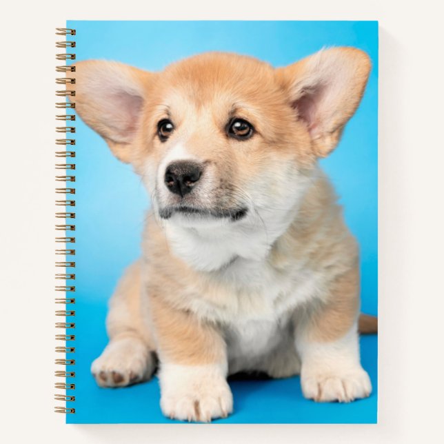Cutest Baby Animals | Corgi Puppy on Blue Notebook (Front)
