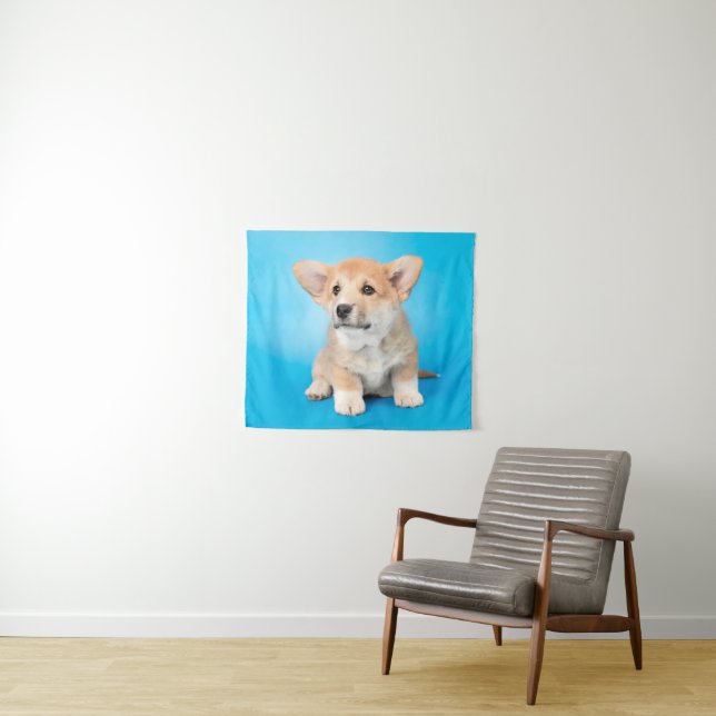 Cutest Baby Animals | Corgi Puppy on Blue Tapestry (In Situ (Horizontal))