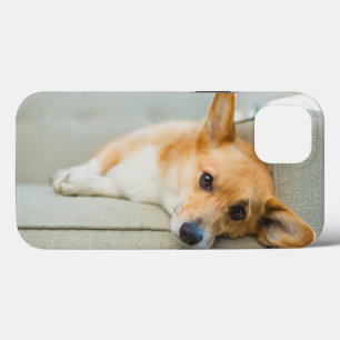 Cutest Baby Animals Corgi Puppy on Couch iPhone 13 Case