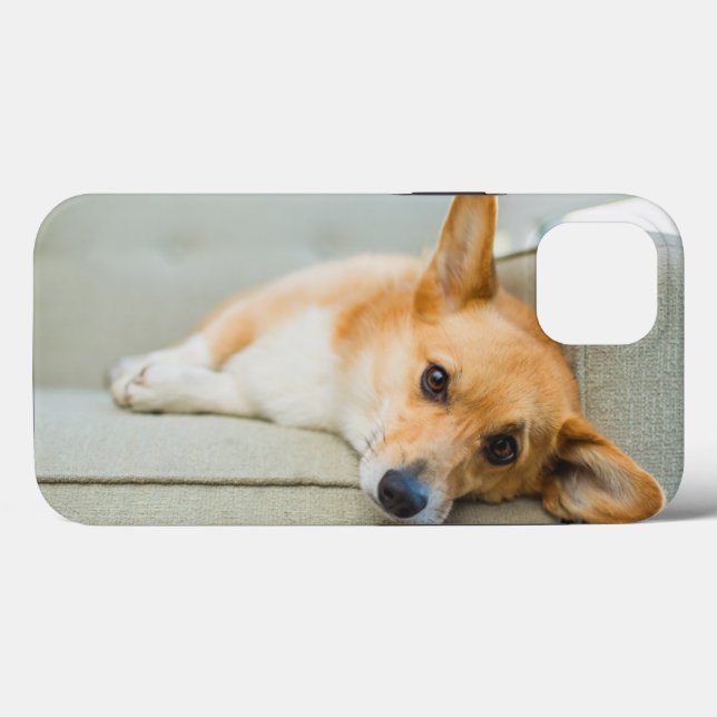 Cutest Baby Animals | Corgi Puppy on Couch Case-Mate iPhone Case (Back (Horizontal))