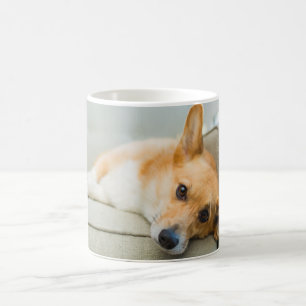 Cutest Baby Animals Corgi Puppy on Couch Coffee Mug
