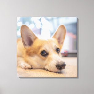 Cutest Baby Animals Corgi Puppy on Floor Canvas Print