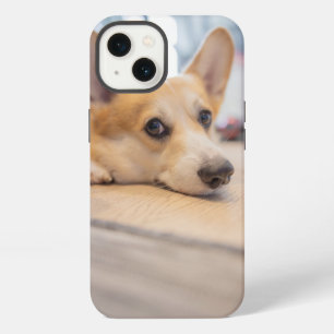Cutest Baby Animals Corgi Puppy on Floor iPhone 13 Case