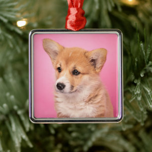 Cutest Baby Animals Corgi Puppy on Pink Metal Ornament