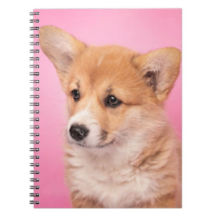 Cutest Baby Animals   Corgi Puppy on Pink Notebook