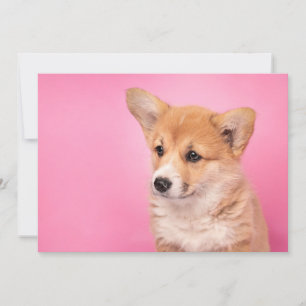 Cutest Baby Animals   Corgi Puppy on Pink Thank You Card