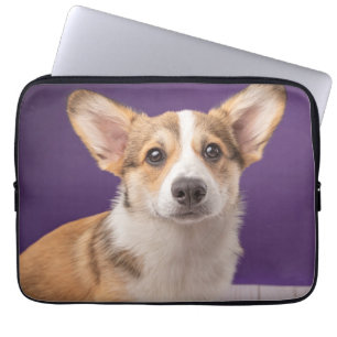 Cutest Baby Animals Corgi Puppy on Purple Laptop Sleeve