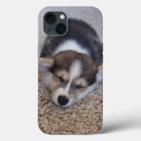Cutest Baby Animals | Corgi Puppy on Shag Rug