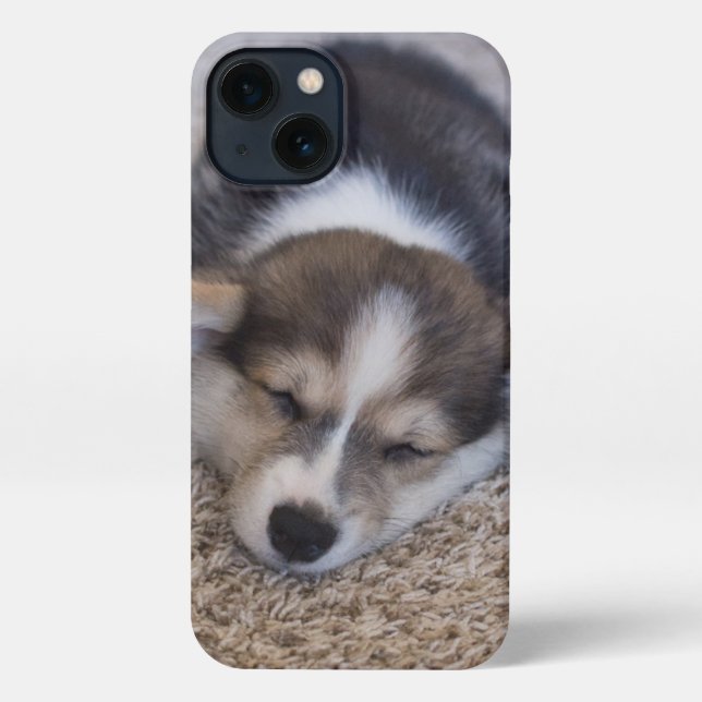 Cutest Baby Animals | Corgi Puppy on Shag Rug iPhone Case (Back)