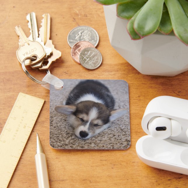 Cutest Baby Animals | Corgi Puppy on Shag Rug Keychain (Desk)