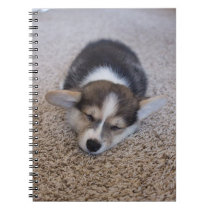 Cutest Baby Animals Corgi Puppy on Shag Rug Notebook
