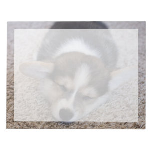 Cutest Baby Animals   Corgi Puppy on Shag Rug Notepad