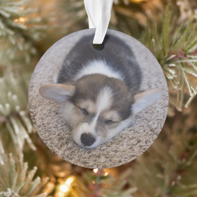 Cutest Baby Animals | Corgi Puppy on Shag Rug Ornament (Tree)