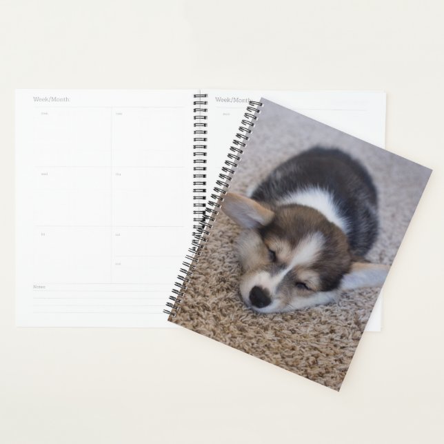 Cutest Baby Animals | Corgi Puppy on Shag Rug Planner (Display)