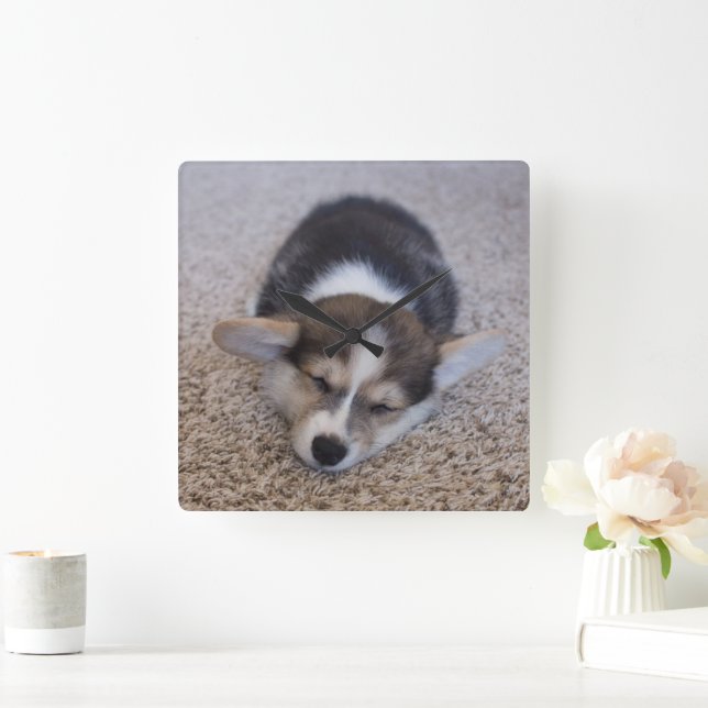 Cutest Baby Animals | Corgi Puppy on Shag Rug Square Wall Clock (Home)