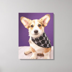Cutest Baby Animals   Corgi Puppy Skull Bandana Canvas Print
