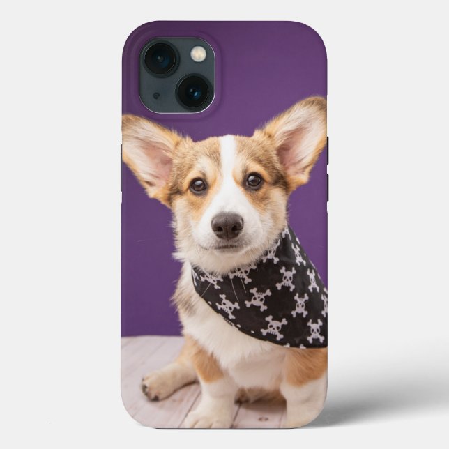 Cutest Baby Animals | Corgi Puppy Skull Bandana Case-Mate iPhone Case (Back)