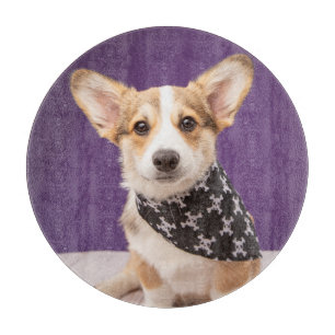 Cutest Baby Animals Corgi Puppy Skull Bandana Cutting Board