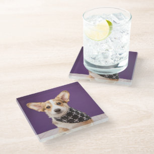 Cutest Baby Animals   Corgi Puppy Skull Bandana Glass Coaster