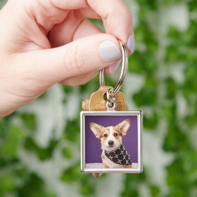 Cutest Baby Animals | Corgi Puppy Skull Bandana Keychain (Hand)
