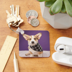 Cutest Baby Animals Corgi Puppy Skull Bandana Keychain